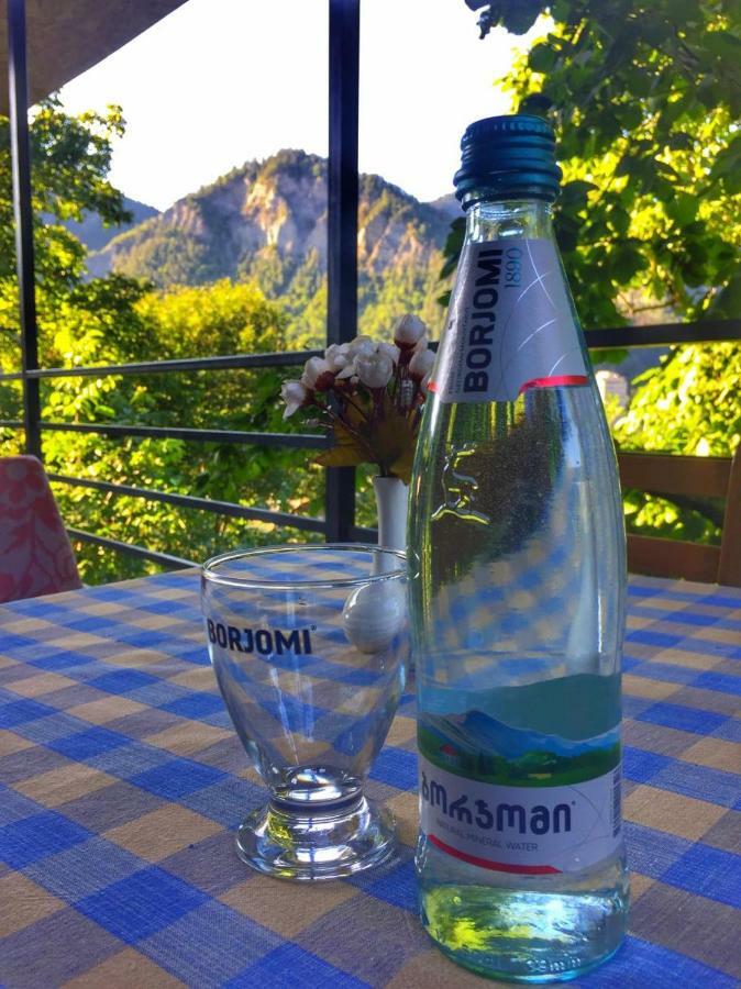 Borjomi Veranda Ngoại thất bức ảnh