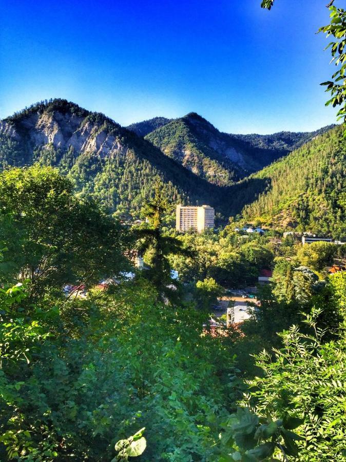 Borjomi Veranda Ngoại thất bức ảnh