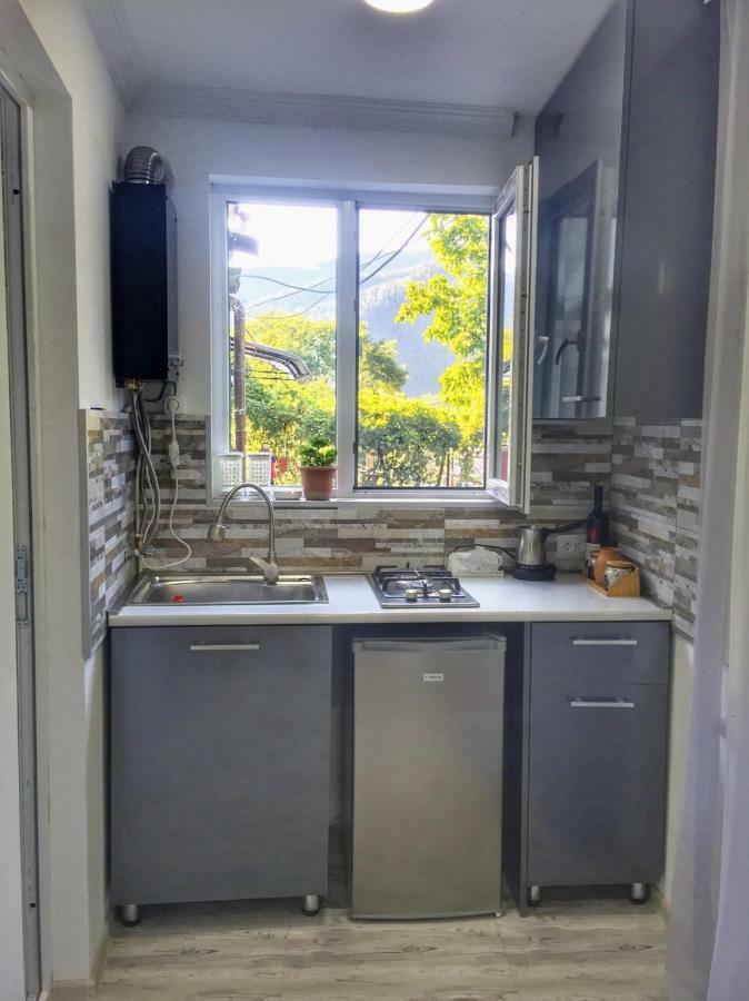 Borjomi Veranda Ngoại thất bức ảnh